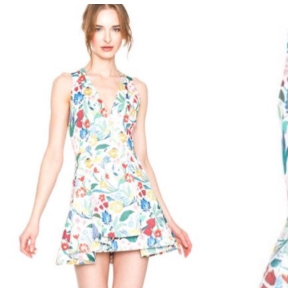 Alice + Olivia dress